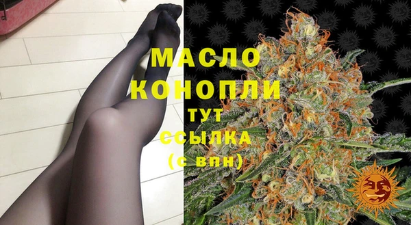сатива Армянск