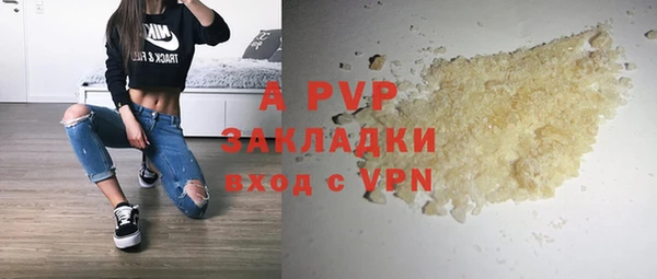 сатива Армянск