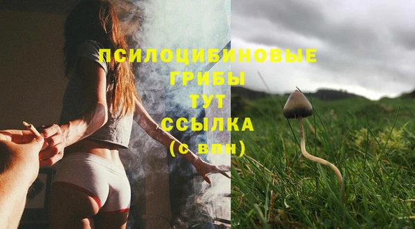 дурь Аркадак