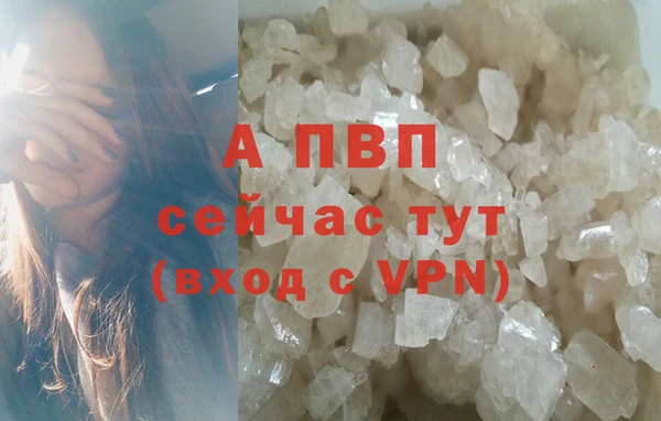 Альфа ПВП Гатчина