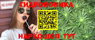 ешки Бийск