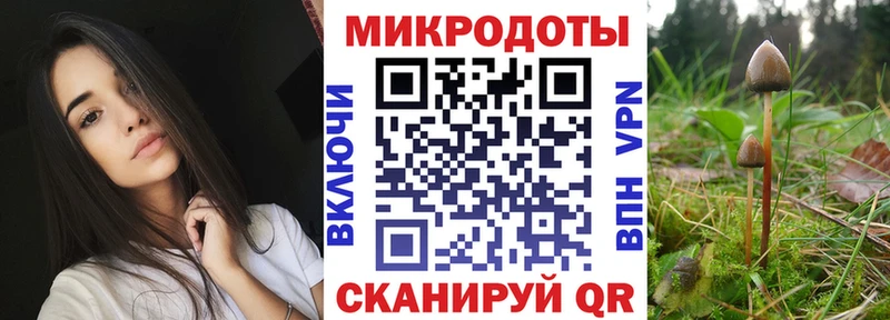MEGA зеркало  Карачаевск  Псилоцибиновые грибы ЛСД 