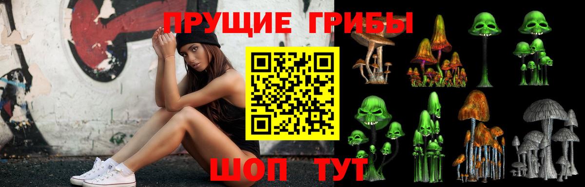 Галлюциногенные грибы Psilocybine cubensis Карачаевск