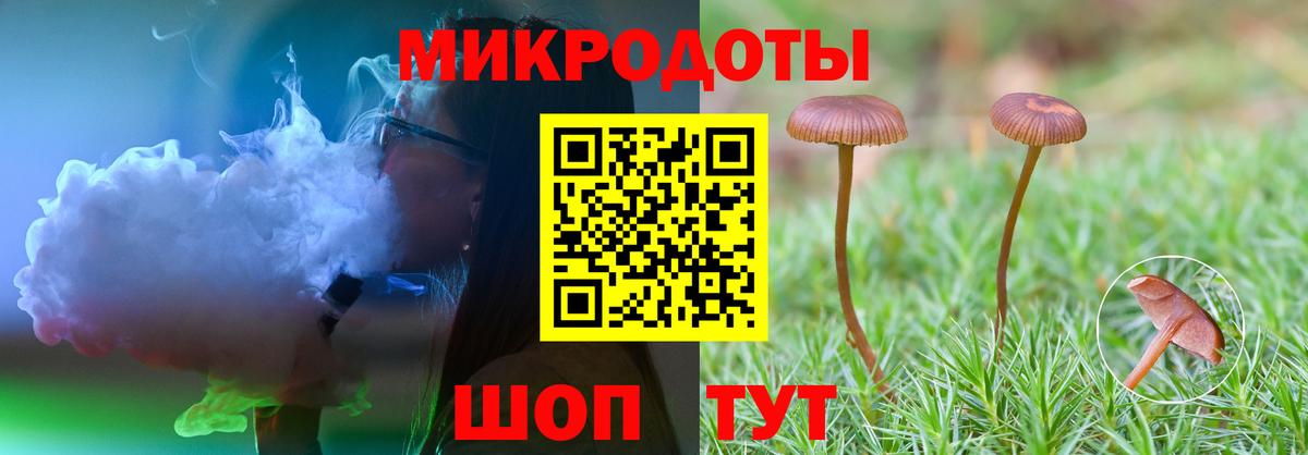 Галлюциногенные грибы Magic Shrooms  Галлюциногенные грибы Psilocybine cubensis  Карачаевск  Вход с VPN 