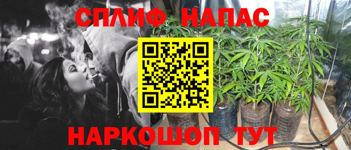 Каннабис Bruce Banner  Марихуана OG Kush  Бошки Шишки THC 21%  Карачаевск  Бошки Шишки семена  Вход с VPN 